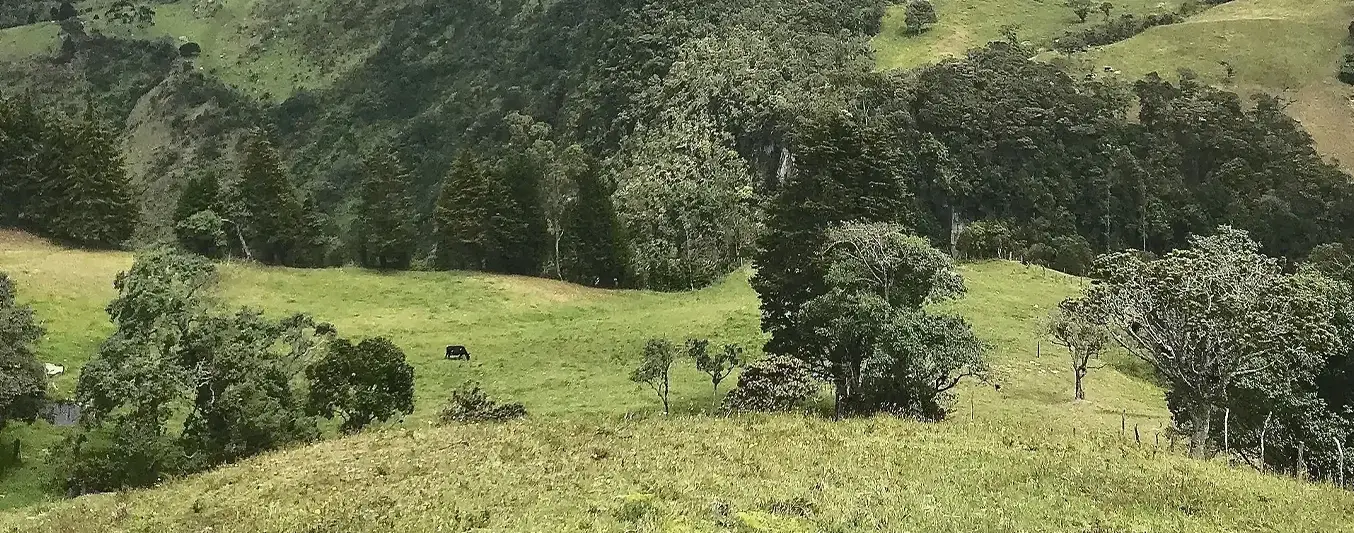 Afectación a la producción agrícola y pecuaria del municipio de Subachoque