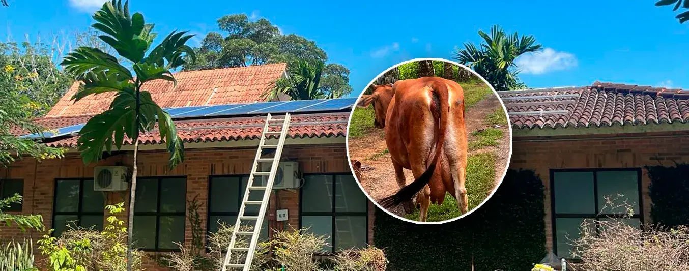 Disminuyó el pago de energía mensual de $2,5 millones a $50.000 ¿Cómo lo hizo?