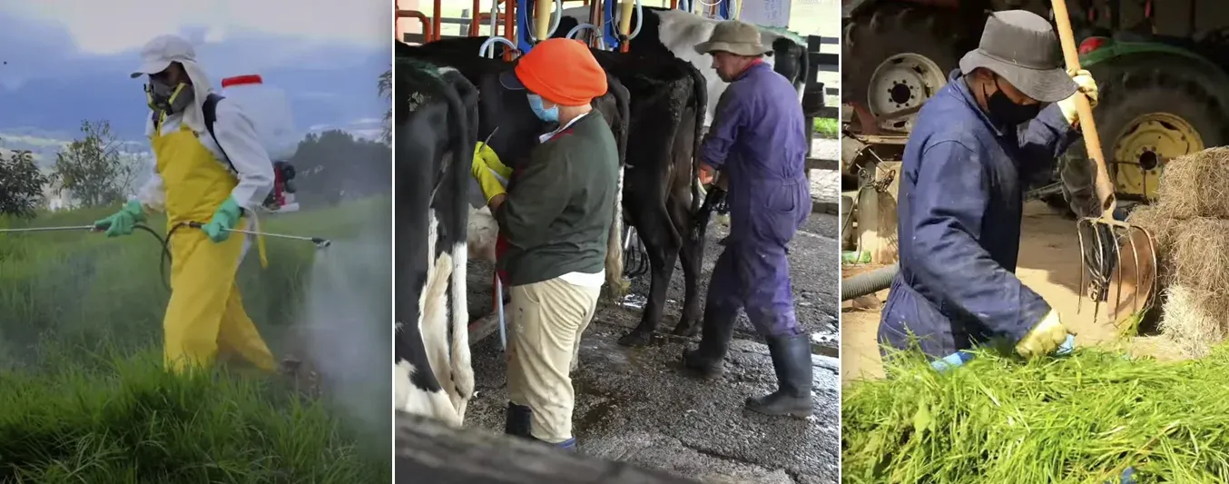 Manual práctico Ganadero - Sello ambiental - Empleados