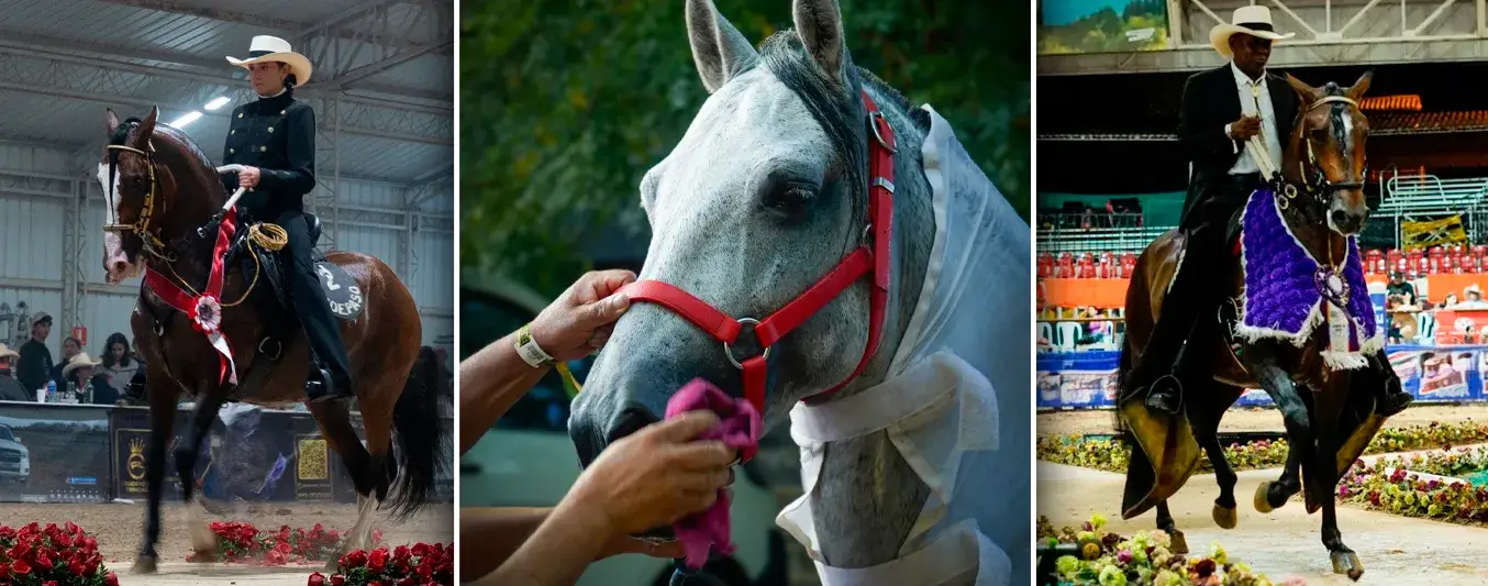 Feria Equina de Manizales