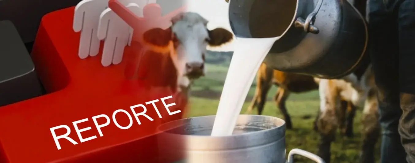 Reporte irregularidades en el precio de la leche