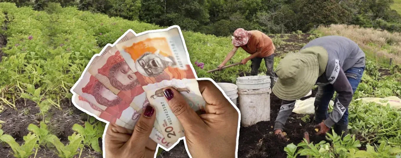 Salario mínimo afectación agro