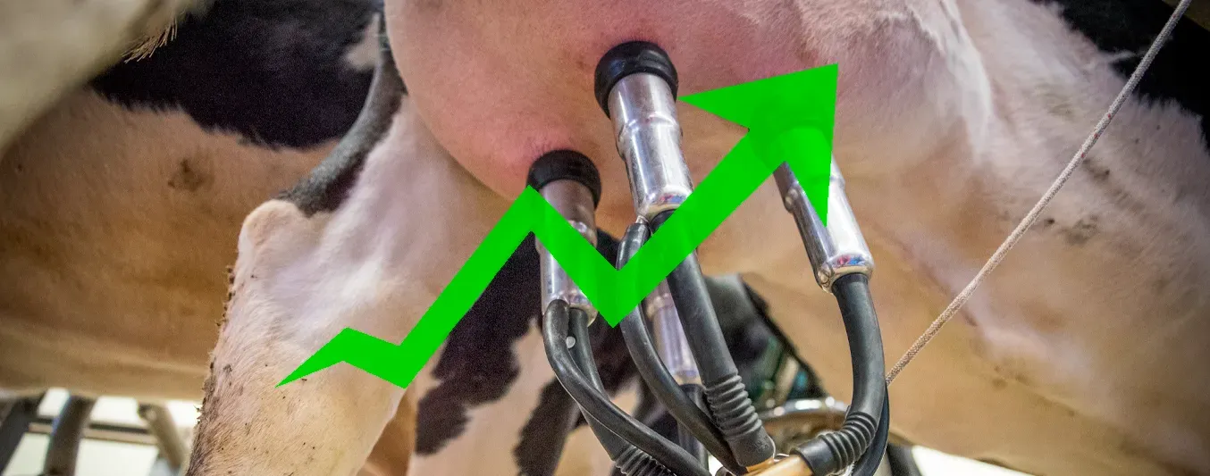 Creció la producción mundial de leche