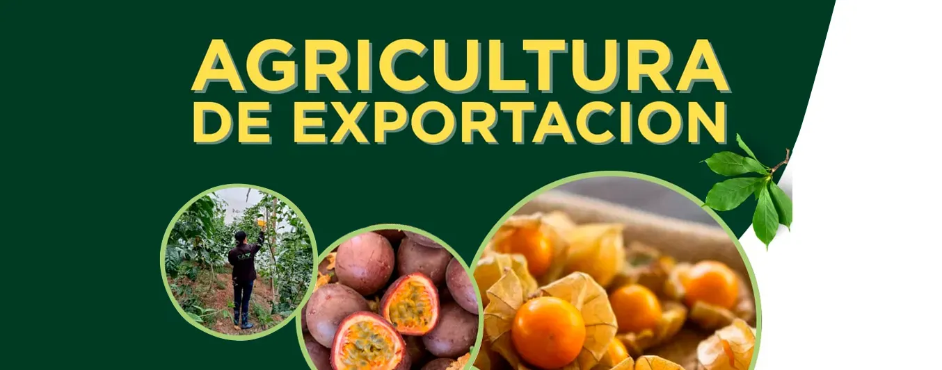 Foro Agricultura de exportación