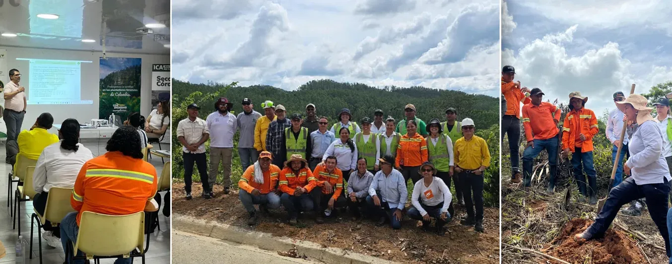 ICA reactiva Mesa Nacional Fitosanitaria Forestal