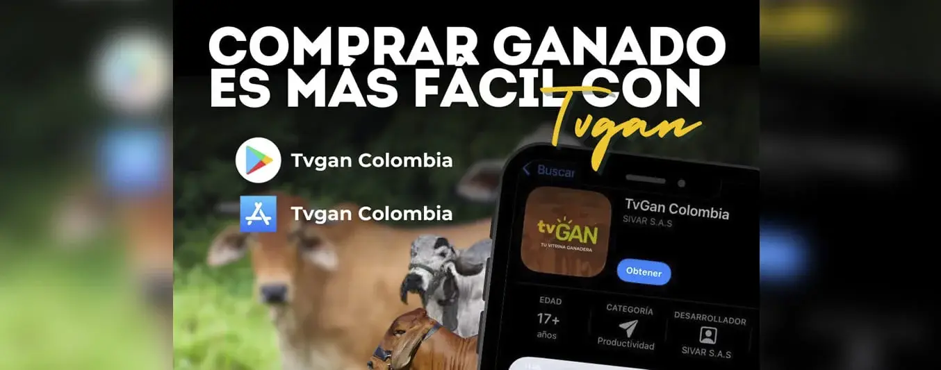 App TvGan