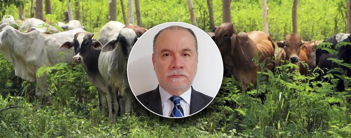 Contexto Live - Roberto Bruce