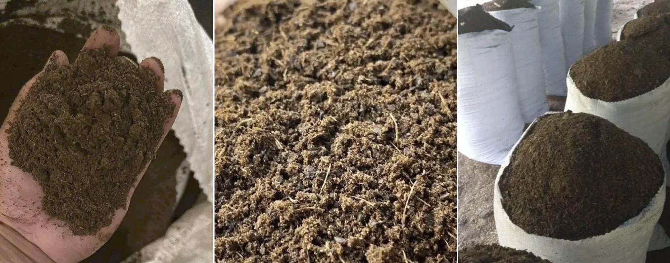 Emprendimiento que le apuesta al palmiste para alimentación bovina | CONtexto Ganadero