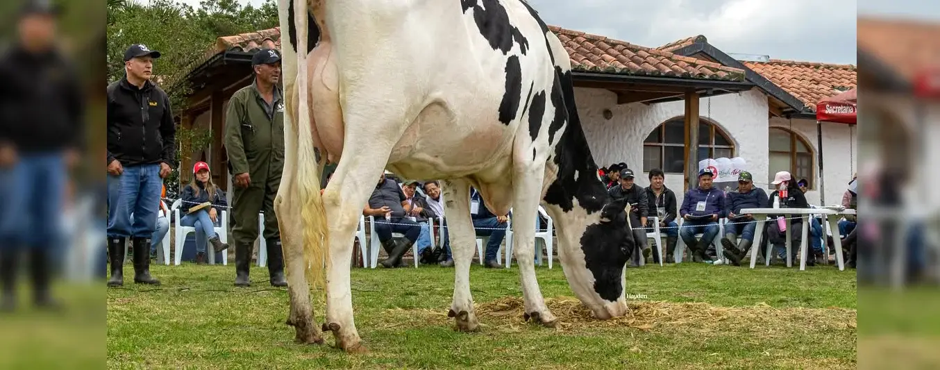 Ganadería la Indiana