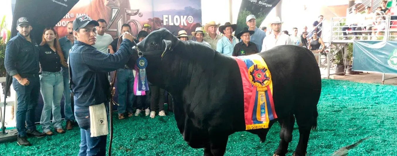 Catalán logra ser gran campeón Brangus de Expomalocas 2026