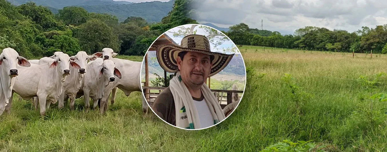 Ganadero de Prado, comenzó a replicar esquema de ensilaje
