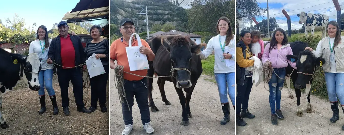 Familias ganaderas de Zipaquirá favorecidas con Una Vaca por la Paz