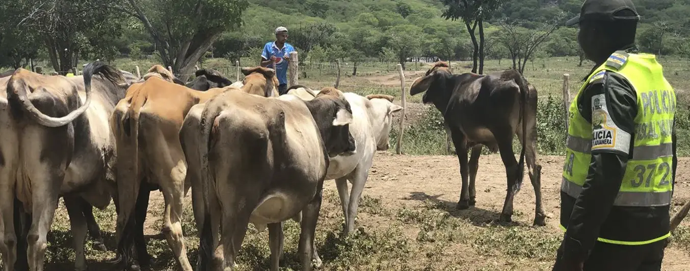 abigeato en La Guajira
