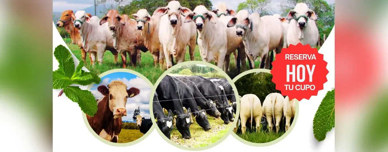 Tercer Congreso de Nutrición