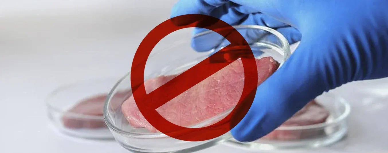 Texas prohíbe la carne cultivada en laboratori