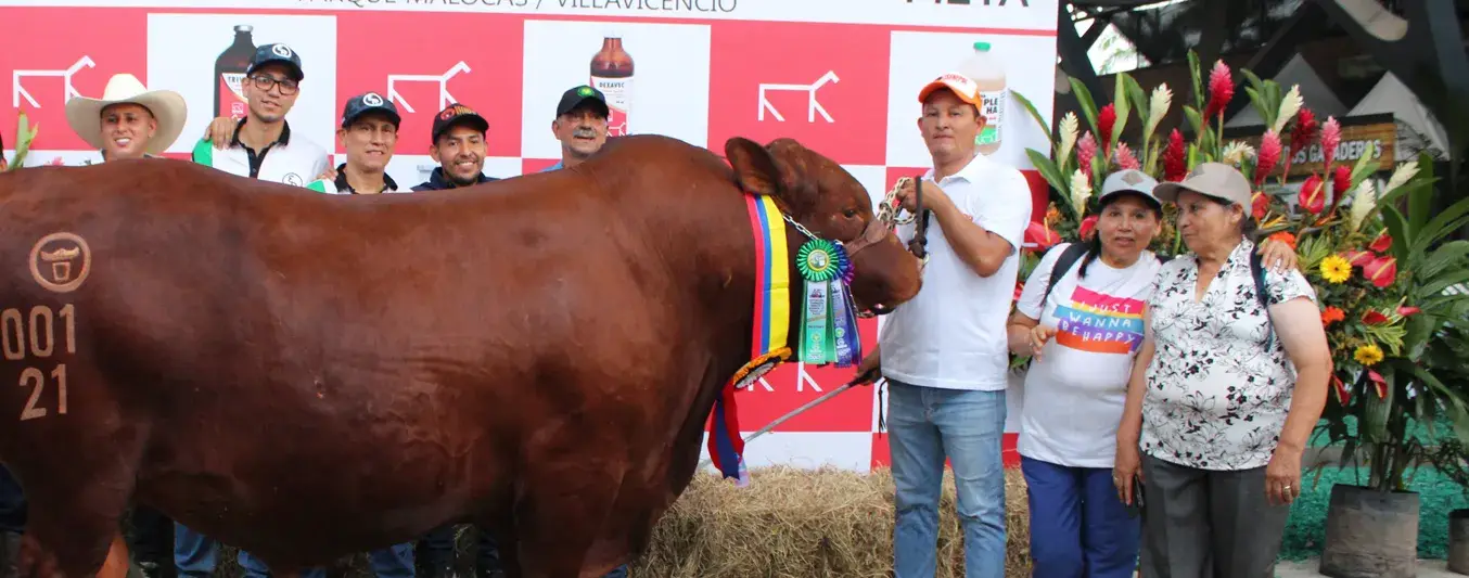 El toro que venció a las grandes razas