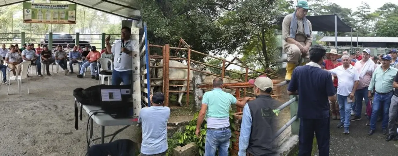 capacitación a transportadores de animales sobre bienestar animal