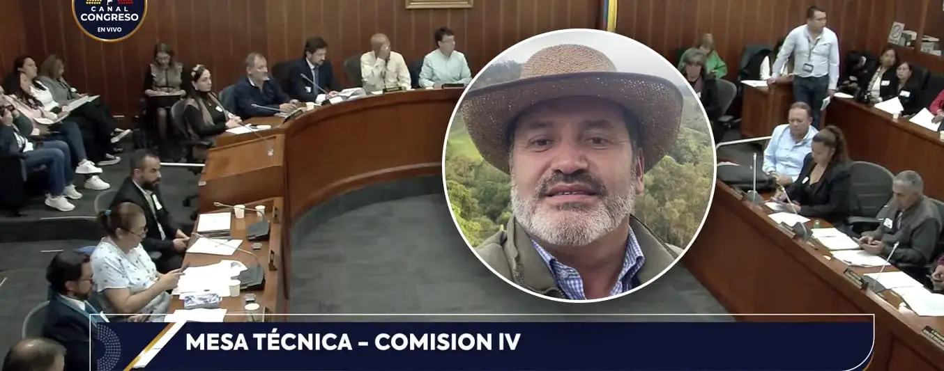 ricardo arenas y comisión cuarta