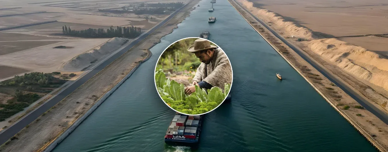 El agro colombiano a la expectativa por la posible reapertura del Canal de Suez