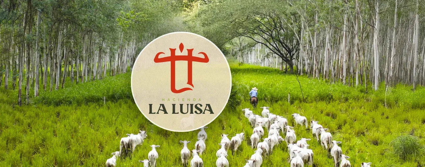 Hacienda La Luisa