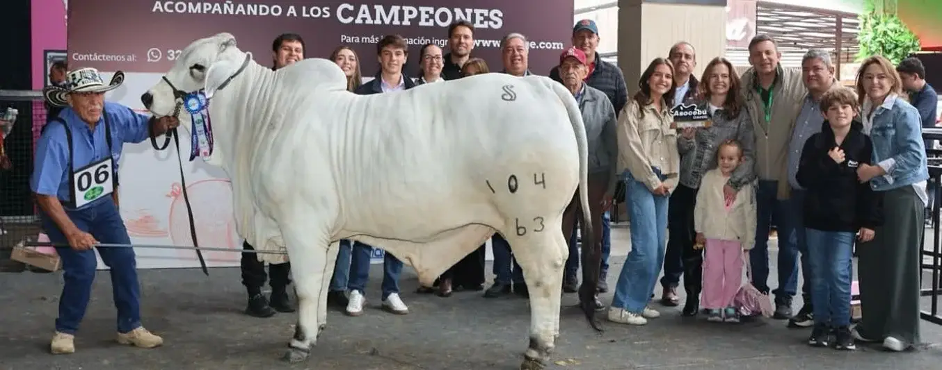 E.O.Z Mr Pride 104763 ha salido dos veces a competencias y en ambas ha sido campeón