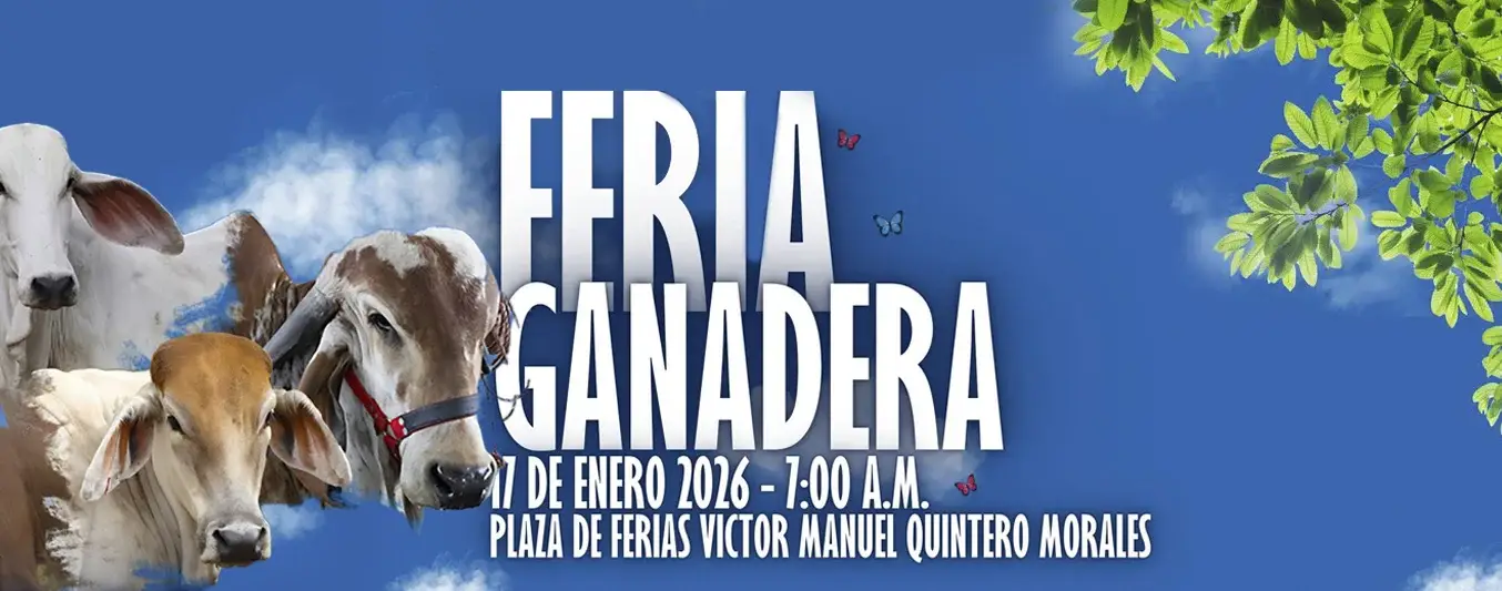 Feria ganadera San Luis de Gaceno