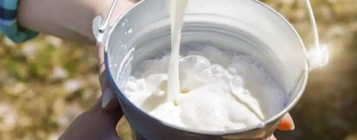 acopio-leche-cruda-abril