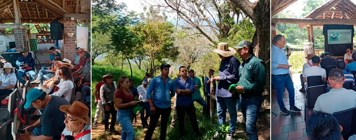 Día de campo realizado en la finca San Ramón, en Palmas, Socorro