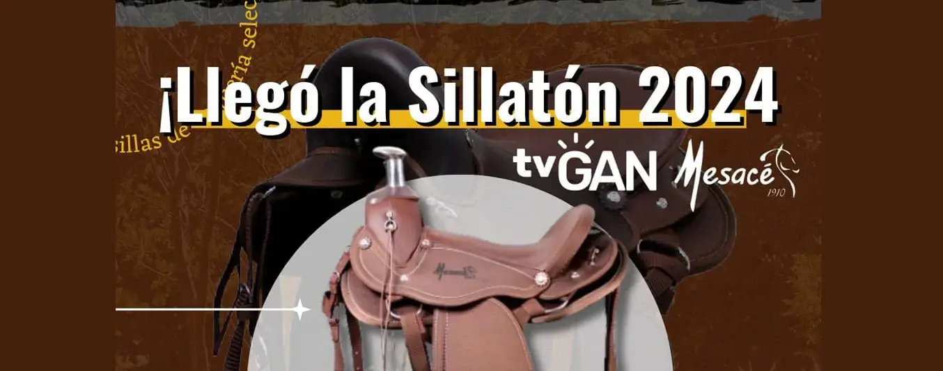 Sillatón tvgan