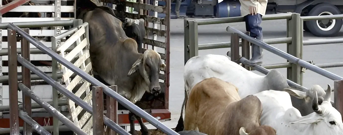 Resolución de Mintransporte cumple un año