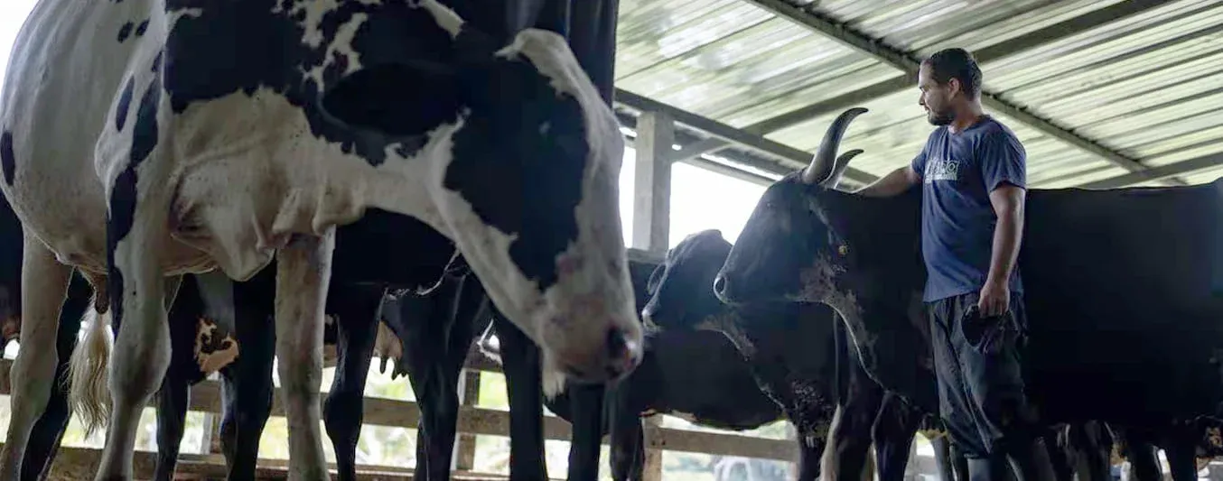 ganaderia-respeto-medio-ambiente