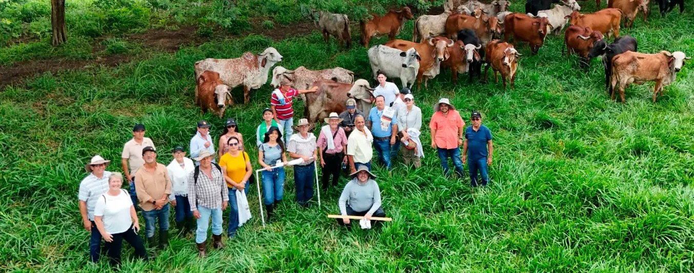 Productores y estudiantes participan en jornada de capacitación en campo con Fedegán en el oriente de Caldas.