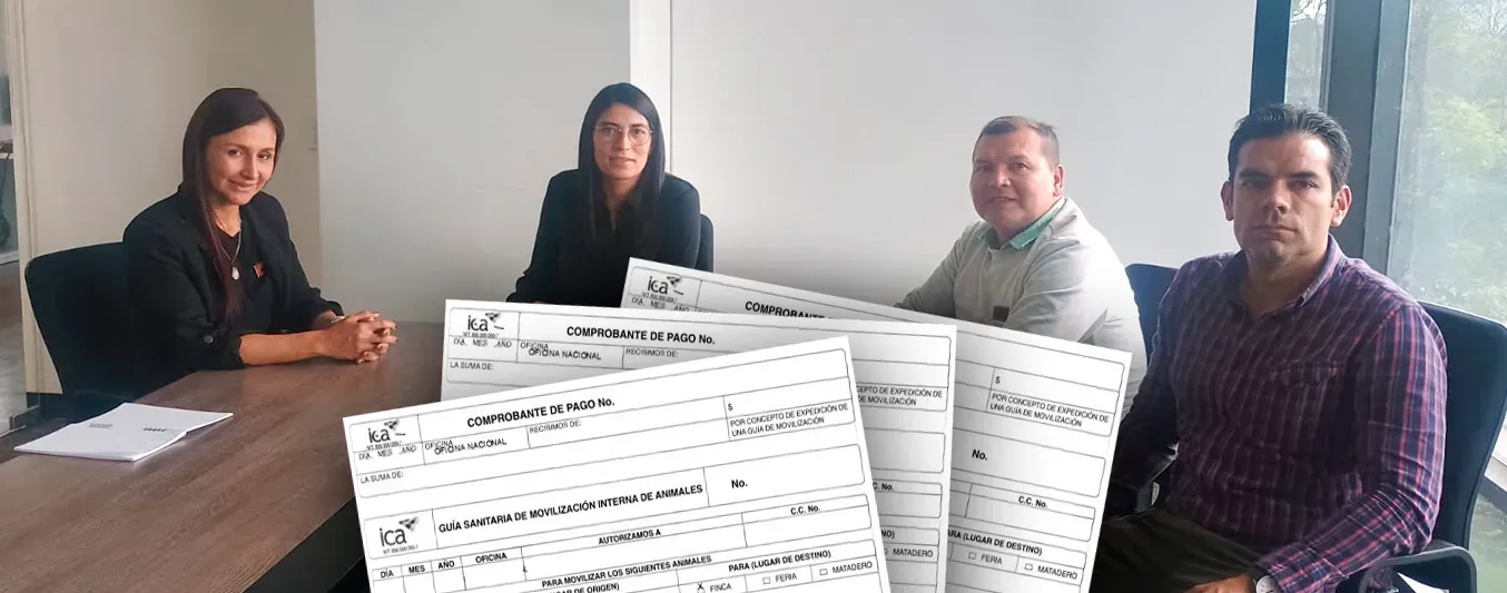 Ganaderos de Tame logran articulación con ICA para agilizar guías de movilización animal