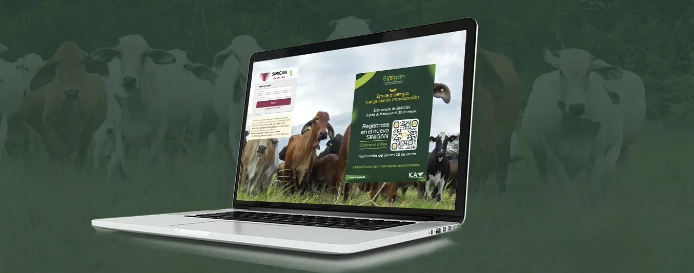 Dificultad de ganaderos en registro al Sinigan