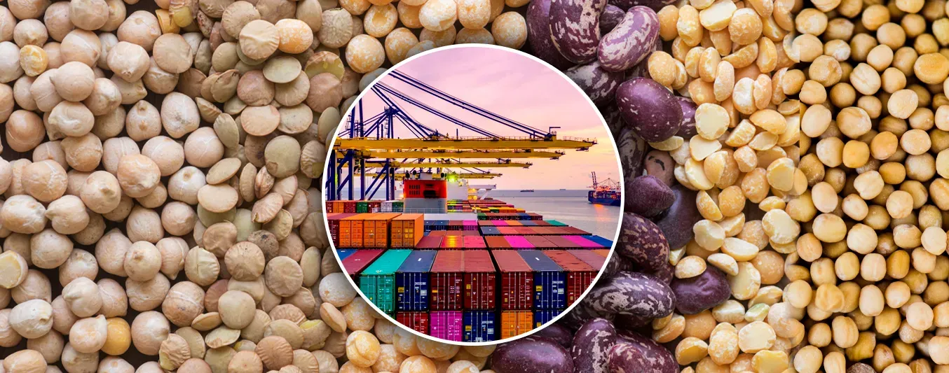 2025 Colombia importó 10,6 % más de toneladas de cereales, leguminosas y soya que en 2024