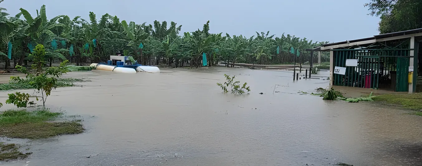 Frente a fuertes lluvias Asbama activa plan de contingencia para proteger a los productores