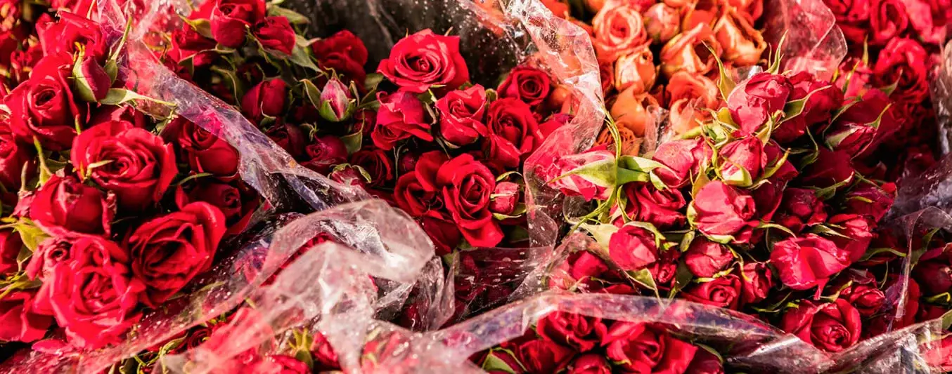 san-valentin-flores-colombia