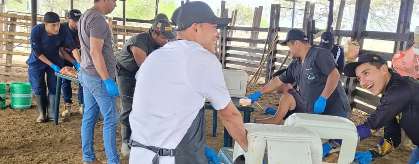 20 ganaderos del Huila adquieren habilidades para mejorar  genética y natalidad
