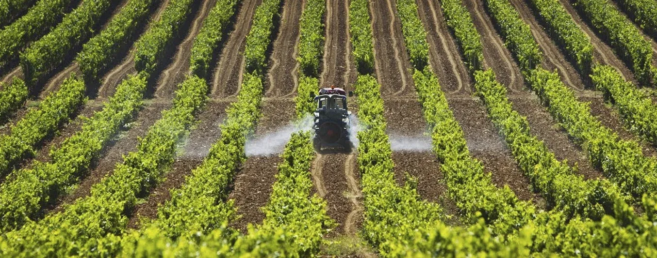 Panorama económico para el agro en 2026