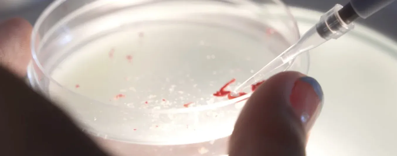 Manual Práctico Ganadero  - Transferencia de embriones