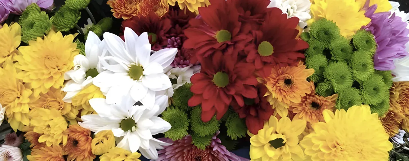 Las flores colombianas llegarán a nuevos mercados en 2026