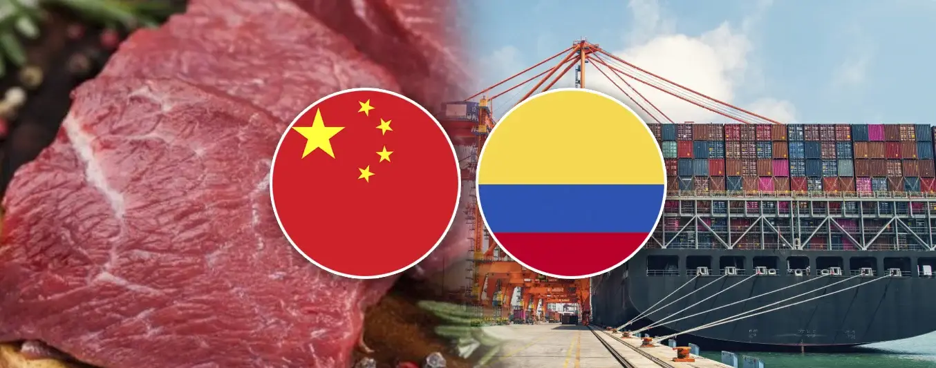 Ventana para Colombia