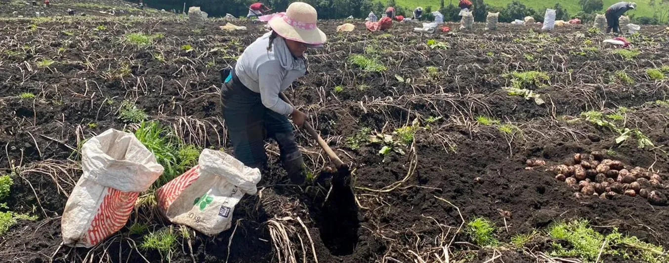Productores de Nariño