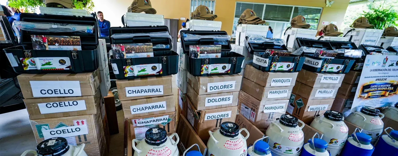 inversión en la ganadería del Tolima