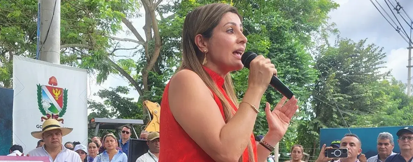 Gobernación de Tolima pide mano dura para los cuatrero