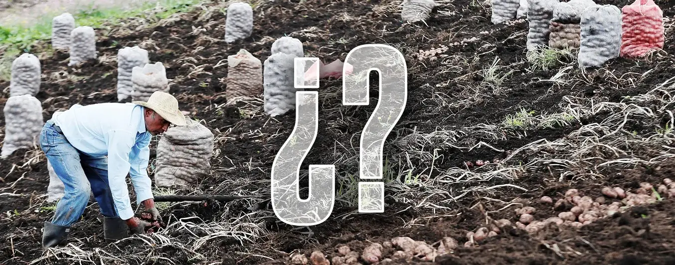 Dónde queda el sector agro en la reforma laboral