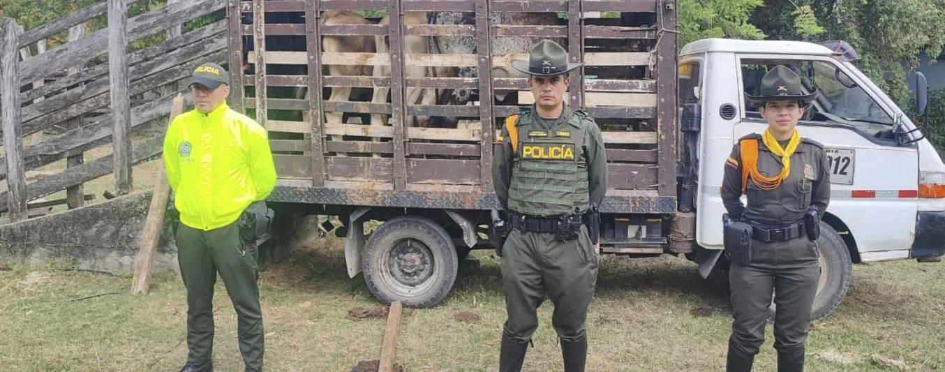 Policía recupera 10 bovinos hurtados en Natagaima (Tolima)