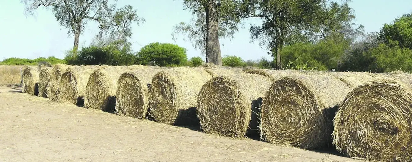 rollos para bovinos