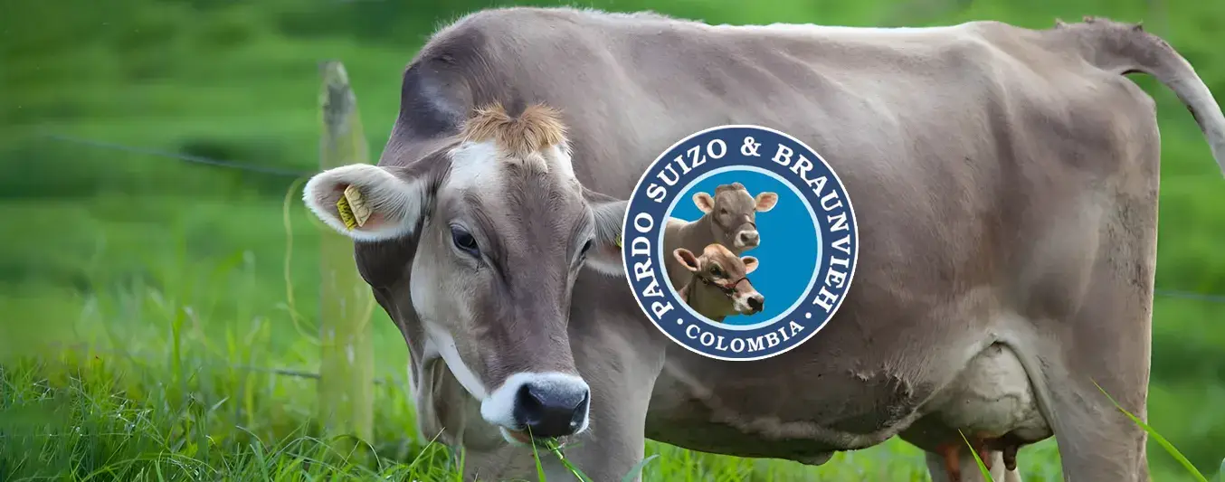 Día de Campo Asopardo