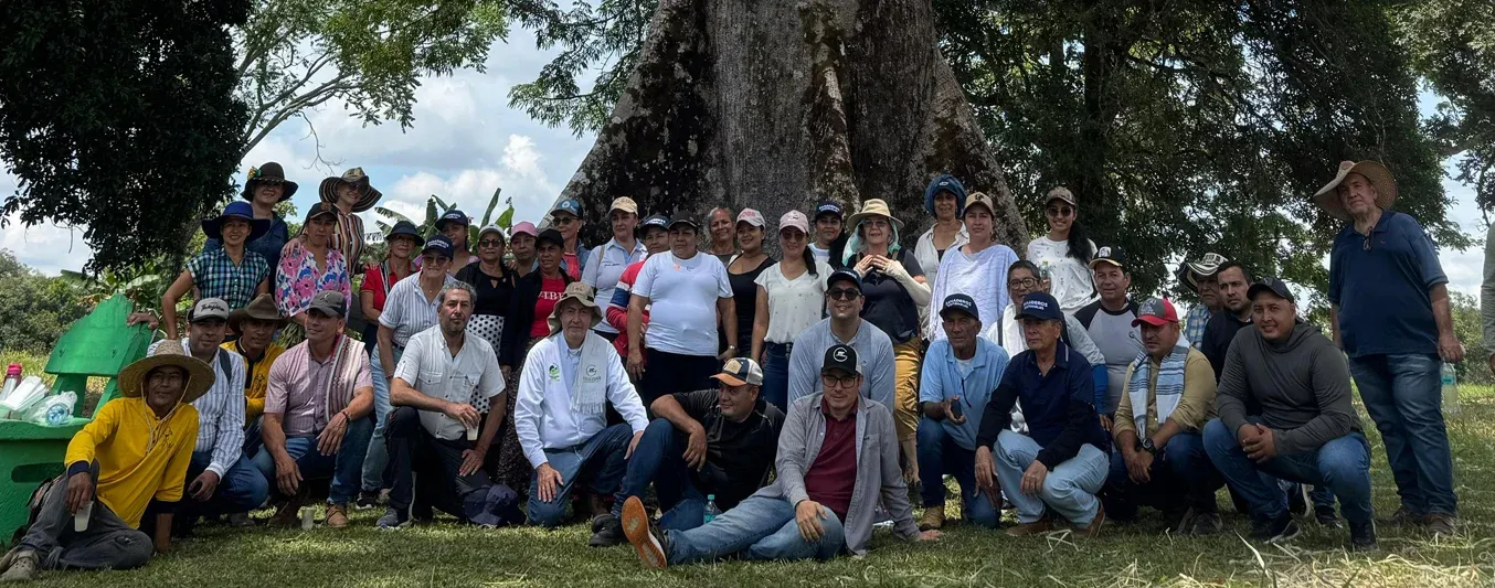 40 predios y más de 20 mil árboles sembrados